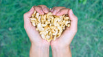 Heart-Healthy Cashews: Unleash the Cardiovascular Benefits of Nutrient-Rich Cashews